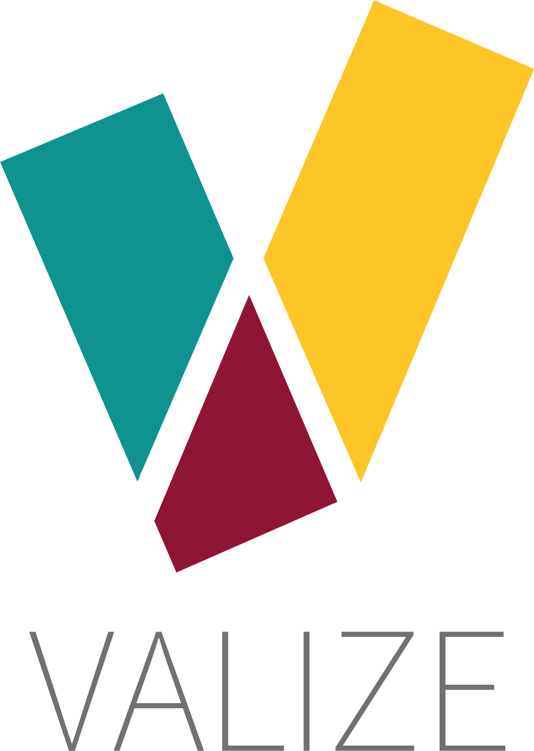 Logo of Valize